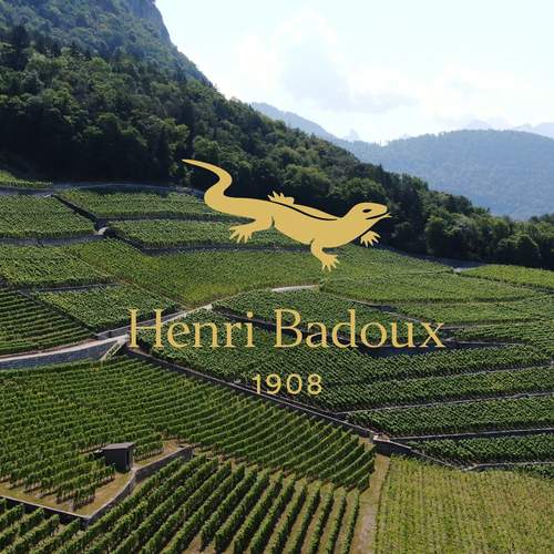 Image of Henri Badoux: Rebranding der grossen Waadtländer Weinkellerei